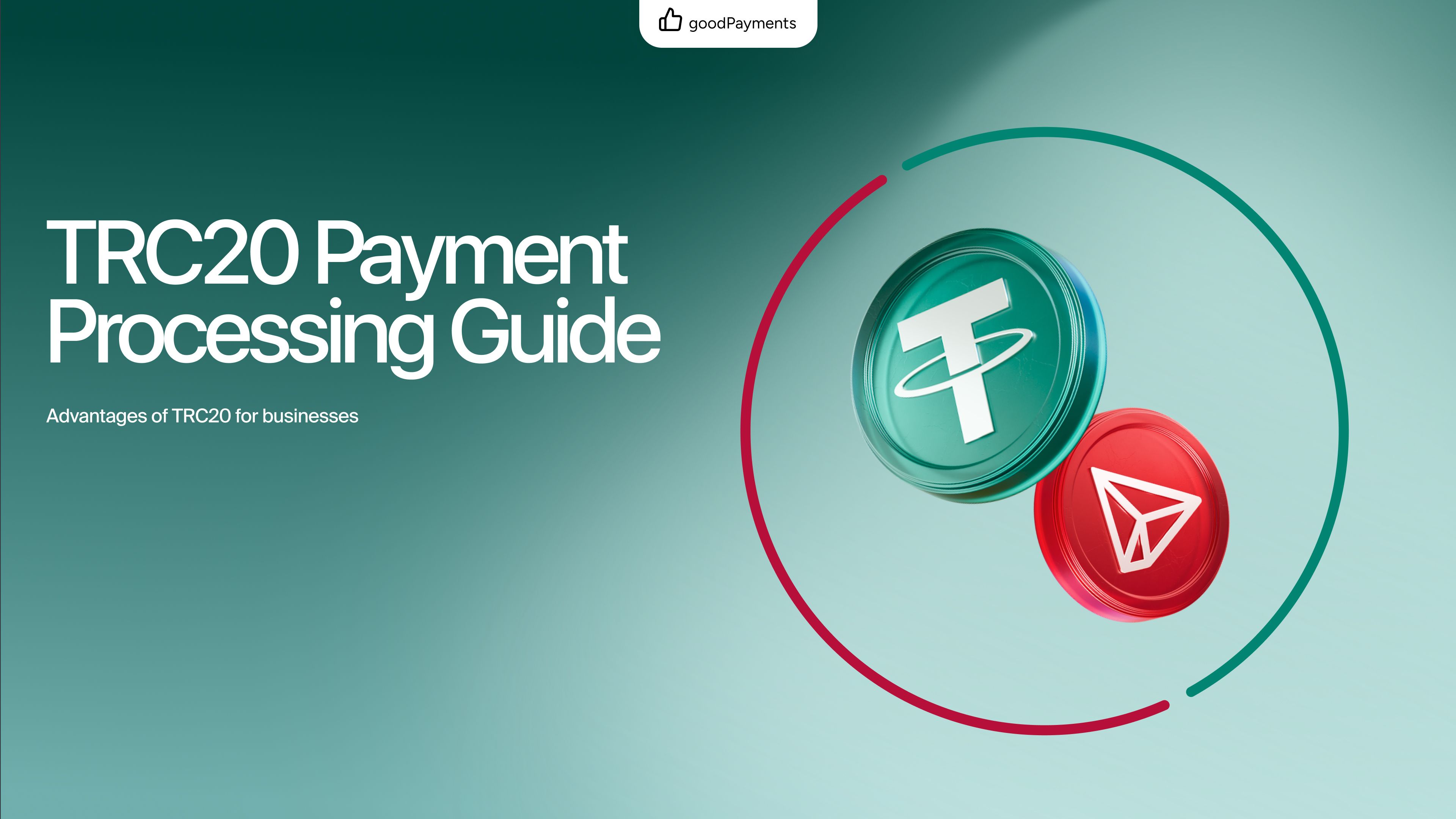 TRC20 payment processing guide | Accept USDT payments